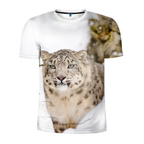 Мужская футболка 3D спортивная с принтом Ирбис в Белгороде, 100% полиэстер с улучшенными характеристиками | приталенный силуэт, круглая горловина, широкие плечи, сужается к линии бедра | Тематика изображения на принте: snow leopard | барс | барсы | животное | животные | звери | зверь | зима | зимы | ирбис | киски | кот | коты | кошачьи | кошка | кошки | мохнатые | мохнатый | пятнистые | пятнистый | снег | снежный