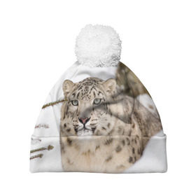 Шапка 3D c помпоном с принтом Ирбис в Белгороде, 100% полиэстер | универсальный размер, печать по всей поверхности изделия | snow leopard | барс | барсы | животное | животные | звери | зверь | зима | зимы | ирбис | киски | кот | коты | кошачьи | кошка | кошки | мохнатые | мохнатый | пятнистые | пятнистый | снег | снежный