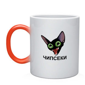 Кружка хамелеон с принтом Чипсеки мем в Белгороде, керамика | меняет цвет при нагревании, емкость 330 мл | Тематика изображения на принте: кот | кот мем | чипсеки | чипсики | чипсы