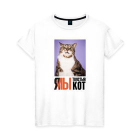 Женская футболка хлопок с принтом Я-МЫ толстый кот в Белгороде, 100% хлопок | прямой крой, круглый вырез горловины, длина до линии бедер, слегка спущенное плечо | викторлетай | кот | котики | мемы | приколы