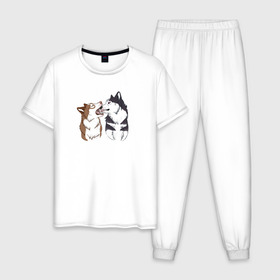 Мужская пижама хлопок с принтом Две Хаски в Белгороде, 100% хлопок | брюки и футболка прямого кроя, без карманов, на брюках мягкая резинка на поясе и по низу штанин
 | Тематика изображения на принте: две хаски | друзья | питомцы | рисунок | собаки | хаски