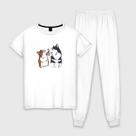 Женская пижама хлопок с принтом Две Хаски в Белгороде, 100% хлопок | брюки и футболка прямого кроя, без карманов, на брюках мягкая резинка на поясе и по низу штанин | две хаски | друзья | питомцы | рисунок | собаки | хаски