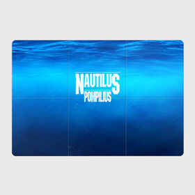 Магнитный плакат 3Х2 с принтом Nautilus Pompilius в Белгороде, Полимерный материал с магнитным слоем | 6 деталей размером 9*9 см | 