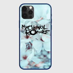 Чехол для iPhone 12 Pro Max с принтом My Chemical Romance в Белгороде, Силикон |  | Тематика изображения на принте: black parade | killjoy | mcr | my chemical romance | килджой