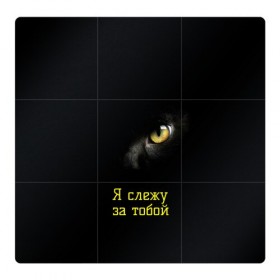 Магнитный плакат 3Х3 с принтом Следящий кошачий глаз в Белгороде, Полимерный материал с магнитным слоем | 9 деталей размером 9*9 см | кот в темноте | кошачий глаз