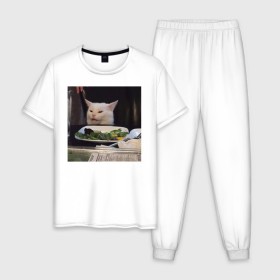 Мужская пижама хлопок с принтом мемная картинка с котом в Белгороде, 100% хлопок | брюки и футболка прямого кроя, без карманов, на брюках мягкая резинка на поясе и по низу штанин
 | кот | котэ | кошка | мем | прикол | фотография