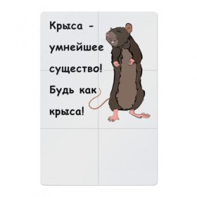 Магнитный плакат 2Х3 с принтом Будь как крыса! в Белгороде, Полимерный материал с магнитным слоем | 6 деталей размером 9*9 см | 