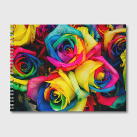 Альбом для рисования с принтом Разноцветные розы в Белгороде, 100% бумага
 | матовая бумага, плотность 200 мг. | Тематика изображения на принте: букет | букеты | природа | природный | разноцветная | разноцветные | растение | растения | роза | розочка | розочки | розы | флора | цветной | цветные | цветок | цветочек | цветочки | цветы