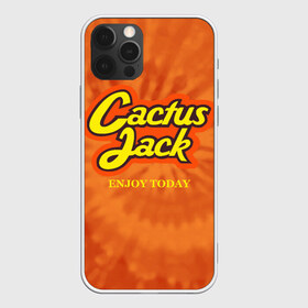 Чехол для iPhone 12 Pro Max с принтом Cactus Jack в Белгороде, Силикон |  | reeses puffs | travis scott | джэк | кактус | трэвис скотт