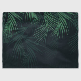 Плед 3D с принтом Пальмовый узор в Белгороде, 100% полиэстер | закругленные углы, все края обработаны. Ткань не мнется и не растягивается | Тематика изображения на принте: джунгли | зелёный | лепестки | лепесток | лес | листья | пальма | пальмы | папоротник | салатовый | тропики | черный