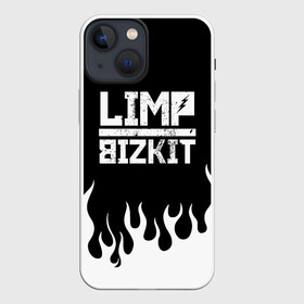 Чехол для iPhone 13 mini с принтом Limp Bizkit в Белгороде,  |  | bizkit | limp | limp bizkit | music | rock | бизкиты | лимп бизкит | лимпы | липкие письки | музыка | рок