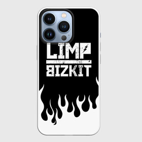 Чехол для iPhone 13 Pro с принтом Limp Bizkit в Белгороде,  |  | bizkit | limp | limp bizkit | music | rock | бизкиты | лимп бизкит | лимпы | липкие письки | музыка | рок