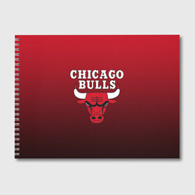 Альбом для рисования с принтом CHICAGO BULLS в Белгороде, 100% бумага
 | матовая бумага, плотность 200 мг. | bulls | chicago | chicago bulls | nba | red bulls | usa | америка | быки | нба | сша | чикаго буллс