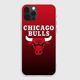 Чехол для iPhone 12 Pro Max с принтом CHICAGO BULLS в Белгороде, Силикон |  | Тематика изображения на принте: bulls | chicago | chicago bulls | nba | red bulls | usa | америка | быки | нба | сша | чикаго буллс