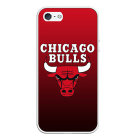 Чехол для iPhone 5/5S матовый с принтом CHICAGO BULLS в Белгороде, Силикон | Область печати: задняя сторона чехла, без боковых панелей | bulls | chicago | chicago bulls | nba | red bulls | usa | америка | быки | нба | сша | чикаго буллс