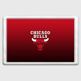 Магнит 45*70 с принтом CHICAGO BULLS в Белгороде, Пластик | Размер: 78*52 мм; Размер печати: 70*45 | bulls | chicago | chicago bulls | nba | red bulls | usa | америка | быки | нба | сша | чикаго буллс