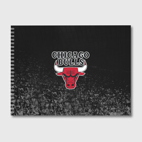 Альбом для рисования с принтом CHICAGO BULLS в Белгороде, 100% бумага
 | матовая бумага, плотность 200 мг. | bulls | chicago | chicago bulls | nba | red bulls | usa | америка | быки | нба | сша | чикаго буллс