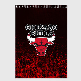 Скетчбук с принтом CHICAGO BULLS в Белгороде, 100% бумага
 | 48 листов, плотность листов — 100 г/м2, плотность картонной обложки — 250 г/м2. Листы скреплены сверху удобной пружинной спиралью | bulls | chicago | chicago bulls | nba | red bulls | usa | америка | быки | нба | сша | чикаго буллс