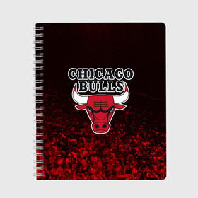 Тетрадь с принтом CHICAGO BULLS в Белгороде, 100% бумага | 48 листов, плотность листов — 60 г/м2, плотность картонной обложки — 250 г/м2. Листы скреплены сбоку удобной пружинной спиралью. Уголки страниц и обложки скругленные. Цвет линий — светло-серый
 | Тематика изображения на принте: bulls | chicago | chicago bulls | nba | red bulls | usa | америка | быки | нба | сша | чикаго буллс