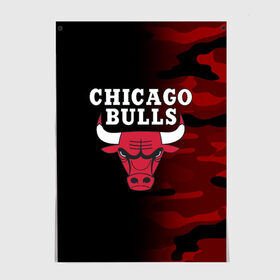 Постер с принтом CHICAGO BULLS в Белгороде, 100% бумага
 | бумага, плотность 150 мг. Матовая, но за счет высокого коэффициента гладкости имеет небольшой блеск и дает на свету блики, но в отличии от глянцевой бумаги не покрыта лаком | 