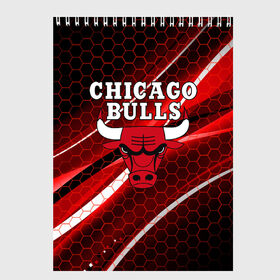 Скетчбук с принтом CHICAGO BULLS в Белгороде, 100% бумага
 | 48 листов, плотность листов — 100 г/м2, плотность картонной обложки — 250 г/м2. Листы скреплены сверху удобной пружинной спиралью | bulls | chicago | chicago bulls | nba | red bulls | usa | америка | быки | нба | сша | чикаго буллс