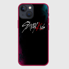 Чехол для iPhone 13 mini с принтом STRAY KIDS в Белгороде,  |  | Тематика изображения на принте: skz | stray kids | бан чан | ли ноу | скз | стрей кидс | сынмин | уджин | феликс | хан | хёджин | чанбин