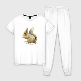 Женская пижама хлопок с принтом Белка в Белгороде, 100% хлопок | брюки и футболка прямого кроя, без карманов, на брюках мягкая резинка на поясе и по низу штанин | акварель | белка | рисунок