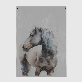 Постер с принтом лошадь в Белгороде, 100% бумага
 | бумага, плотность 150 мг. Матовая, но за счет высокого коэффициента гладкости имеет небольшой блеск и дает на свету блики, но в отличии от глянцевой бумаги не покрыта лаком | животные | конный спорт | конь | лошадь | наездник | спорт