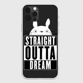 Чехол для iPhone 12 Pro Max с принтом Тоторо Straight outta dream в Белгороде, Силикон |  | Тематика изображения на принте: anime | hayao miyazaki | japanese | meme | miyazaki | piano | studio ghibli | tokyo | totoro | гибли | котобус | мой | сосед | сусуватари | тонари | тоторо | хаяо миядзаки