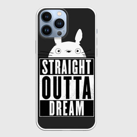 Чехол для iPhone 13 Pro Max с принтом Тоторо Straight outta dream в Белгороде,  |  | Тематика изображения на принте: anime | hayao miyazaki | japanese | meme | miyazaki | piano | studio ghibli | tokyo | totoro | гибли | котобус | мой | сосед | сусуватари | тонари | тоторо | хаяо миядзаки