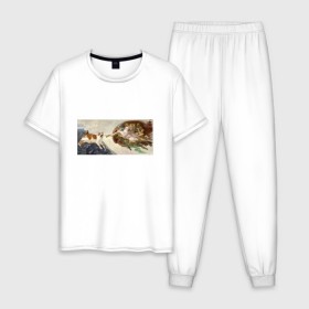 Мужская пижама хлопок с принтом Сотворение Адама и кот в Белгороде, 100% хлопок | брюки и футболка прямого кроя, без карманов, на брюках мягкая резинка на поясе и по низу штанин
 | mem | memes | весело | искусство | кот | котик | мем | прикол | сотворение адама