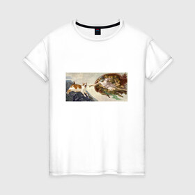 Женская футболка хлопок с принтом Сотворение Адама и кот в Белгороде, 100% хлопок | прямой крой, круглый вырез горловины, длина до линии бедер, слегка спущенное плечо | Тематика изображения на принте: mem | memes | весело | искусство | кот | котик | мем | прикол | сотворение адама