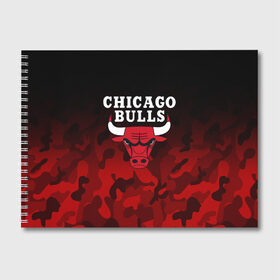 Альбом для рисования с принтом CHICAGO BULLS в Белгороде, 100% бумага
 | матовая бумага, плотность 200 мг. | bulls | chicago | chicago bulls | nba | red bulls | usa | америка | быки | нба | сша | чикаго буллс