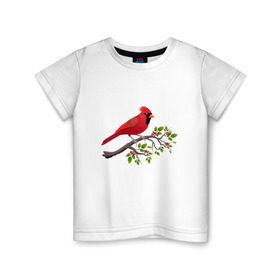 Детская футболка хлопок с принтом Красный кардинал в Белгороде, 100% хлопок | круглый вырез горловины, полуприлегающий силуэт, длина до линии бедер | cardinalis cardinalis | красный кардинал | новогодняя птица | птица | птичка | рождественская птица