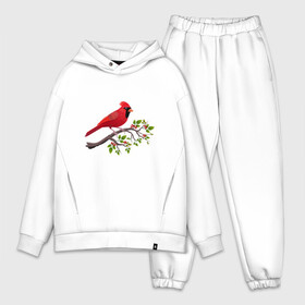 Мужской костюм хлопок OVERSIZE с принтом Красный кардинал в Белгороде,  |  | cardinalis cardinalis | красный кардинал | новогодняя птица | птица | птичка | рождественская птица
