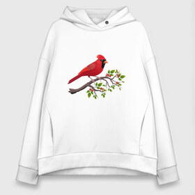 Женское худи Oversize хлопок с принтом Красный кардинал в Белгороде, френч-терри — 70% хлопок, 30% полиэстер. Мягкий теплый начес внутри —100% хлопок | боковые карманы, эластичные манжеты и нижняя кромка, капюшон на магнитной кнопке | cardinalis cardinalis | красный кардинал | новогодняя птица | птица | птичка | рождественская птица