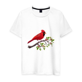 Мужская футболка хлопок с принтом Красный кардинал в Белгороде, 100% хлопок | прямой крой, круглый вырез горловины, длина до линии бедер, слегка спущенное плечо. | cardinalis cardinalis | красный кардинал | новогодняя птица | птица | птичка | рождественская птица