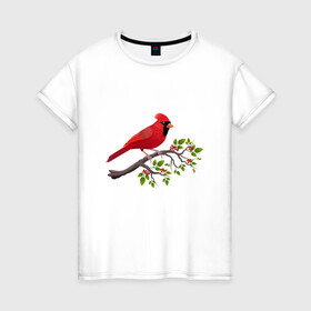 Женская футболка хлопок с принтом Красный кардинал в Белгороде, 100% хлопок | прямой крой, круглый вырез горловины, длина до линии бедер, слегка спущенное плечо | cardinalis cardinalis | красный кардинал | новогодняя птица | птица | птичка | рождественская птица