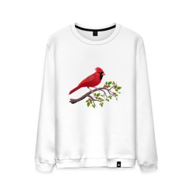 Мужской свитшот хлопок с принтом Красный кардинал в Белгороде, 100% хлопок |  | cardinalis cardinalis | красный кардинал | новогодняя птица | птица | птичка | рождественская птица