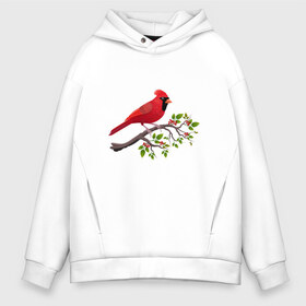 Мужское худи Oversize хлопок с принтом Красный кардинал в Белгороде, френч-терри — 70% хлопок, 30% полиэстер. Мягкий теплый начес внутри —100% хлопок | боковые карманы, эластичные манжеты и нижняя кромка, капюшон на магнитной кнопке | cardinalis cardinalis | красный кардинал | новогодняя птица | птица | птичка | рождественская птица
