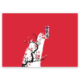 Поздравительная открытка с принтом Сакура Айкидо в Белгороде, 100% бумага | плотность бумаги 280 г/м2, матовая, на обратной стороне линовка и место для марки
 | aikido | аикидо | айкидо | восточные единоборства | единоборства | морихей уэсиба