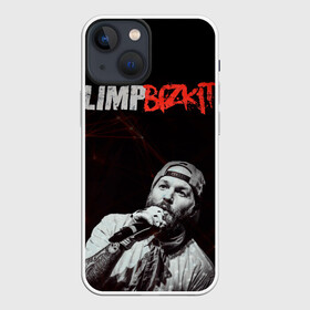 Чехол для iPhone 13 mini с принтом Limp Bizkit в Белгороде,  |  | limp bizkit | лимп бискит | музыка | рок
