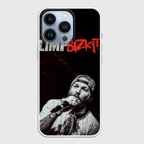 Чехол для iPhone 13 Pro с принтом Limp Bizkit в Белгороде,  |  | limp bizkit | лимп бискит | музыка | рок