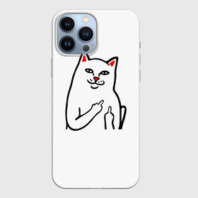 Чехол для iPhone 13 Pro Max с принтом Meme Cat в Белгороде,  |  | Тематика изображения на принте: animal | cat | meme | животное | кот | кошка | мем | прикол | юмор