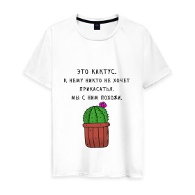 Мужская футболка хлопок с принтом Это кактус...Мы с ним похожи в Белгороде, 100% хлопок | прямой крой, круглый вырез горловины, длина до линии бедер, слегка спущенное плечо. | 