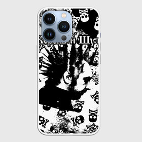 Чехол для iPhone 13 Pro с принтом Король и Шут в Белгороде,  |  | punk | rock | skull | киш | король | король и шут | михаил горшенев | панки | рок | русский рок | черепа | шут