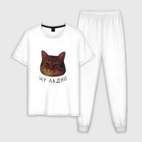 Мужская пижама хлопок с принтом Ну ладно(мем) в Белгороде, 100% хлопок | брюки и футболка прямого кроя, без карманов, на брюках мягкая резинка на поясе и по низу штанин
 | животные | интернет | кот | котик | мем | ну ладно | прикол | прикольный | смешной | стикер | юмор