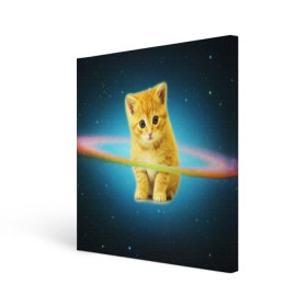 Холст квадратный с принтом Рыжий Котик в Белгороде, 100% ПВХ |  | cat | cats | животные | киса | киска | кот | котики | коты | котэ | кошка | природа
