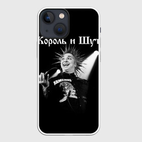 Чехол для iPhone 13 mini с принтом Король и Шут + Анархия (спина) в Белгороде,  |  | punk | rock | киш | король | король и шут | михаил горшенев | панки | рок | русский рок | шут