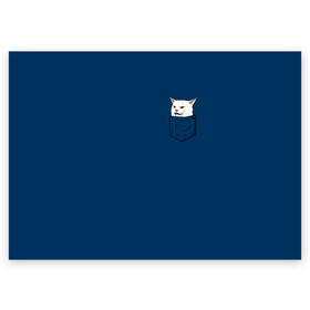 Поздравительная открытка с принтом СМАДЖ В КАРМАНЕ  в Белгороде, 100% бумага | плотность бумаги 280 г/м2, матовая, на обратной стороне линовка и место для марки
 | Тематика изображения на принте: confused cat at dinner | woman yelling | белый кот | женщина орет на кота | кот | кот мем | кот смадж | котики | кошка | мем | мем с котом | мемы | прикол | смадж | юмор